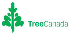 Tree Canada Logo