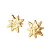 Gold earrings shining star studs